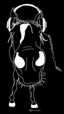 ROCKIN HORSE